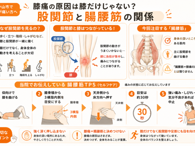 小山市で膝が痛い方へ｜膝痛の原因は膝だけじゃない？股関節と腸腰筋の関係